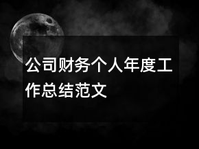 公司财务个人年度工作总结范文