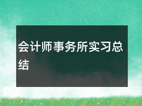 会计师事务所实习总结