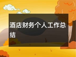 酒店财务个人工作总结
