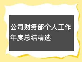 公司财务部个人工作年度总结精选