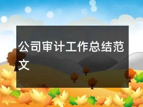 公司审计工作总结范文