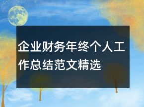 企业财务年终个人工作总结范文精选