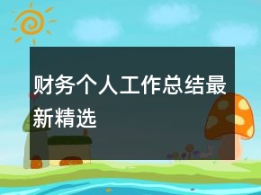 财务个人工作总结最新精选