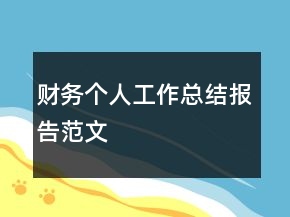 财务个人工作总结报告范文
