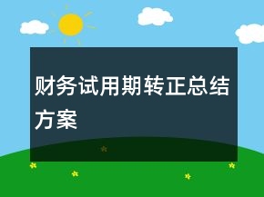 财务试用期转正总结方案