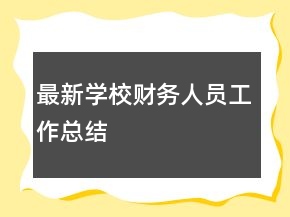 最新学校财务人员工作总结
