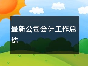 最新公司会计工作总结