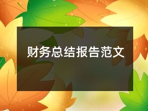 财务总结报告范文