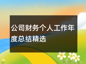 公司财务个人工作年度总结精选