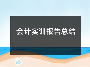 会计实训报告总结