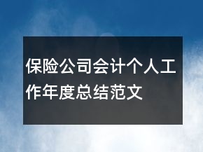 保险公司会计个人工作年度总结范文