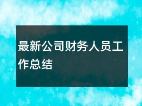 最新公司财务人员工作总结