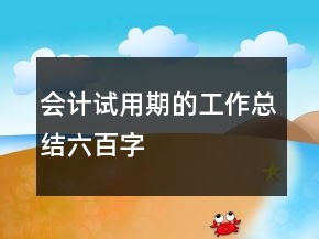 会计试用期的工作总结六百字