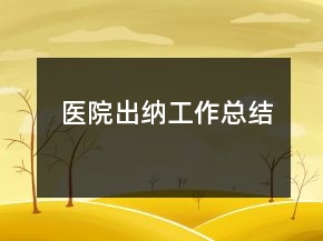 医院出纳工作总结