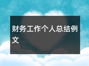 财务工作个人总结例文