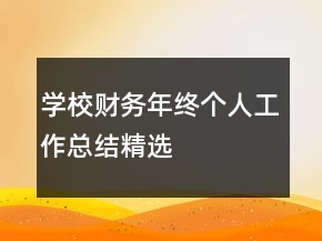 学校财务年终个人工作总结精选