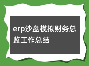erp沙盘模拟财务总监工作总结