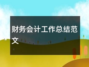 财务会计工作总结范文