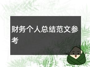 财务个人总结范文参考