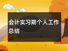 会计实习期个人工作总结