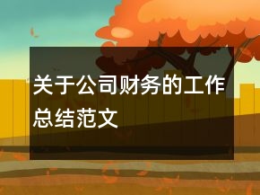 关于公司财务的工作总结范文