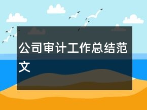 公司审计工作总结范文