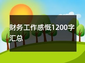 财务工作感慨1200字汇总