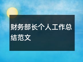 财务部长个人工作总结范文