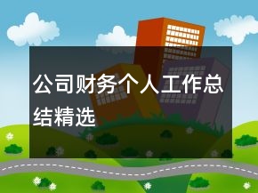 公司财务个人工作总结精选
