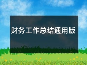 财务工作总结通用版