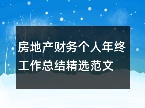 房地产财务个人年终工作总结精选范文