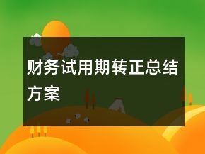 财务试用期转正总结方案