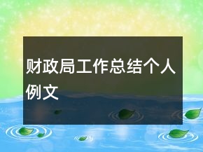 财政局工作总结个人例文