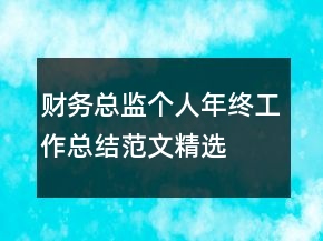 财务总监个人年终工作总结范文精选