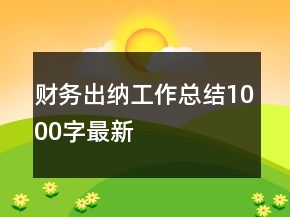 财务出纳工作总结1000字最新