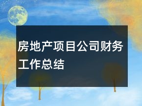 房地产项目公司财务工作总结
