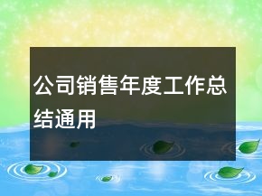 公司销售年度工作总结通用