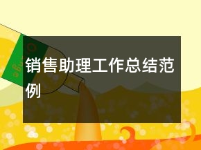 销售助理工作总结范例