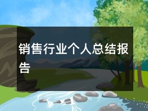 销售行业个人总结报告