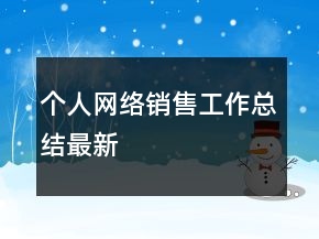 个人网络销售工作总结最新