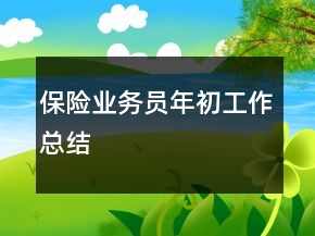 保险业务员年初工作总结