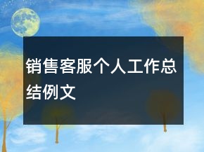 销售客服个人工作总结例文