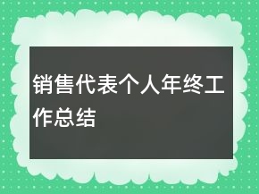 销售代表个人年终工作总结