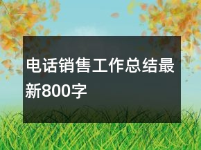 电话销售工作总结最新800字