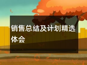 销售总结及计划精选体会