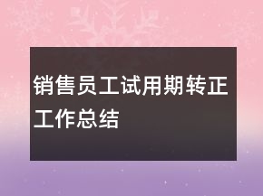 销售员工试用期转正工作总结