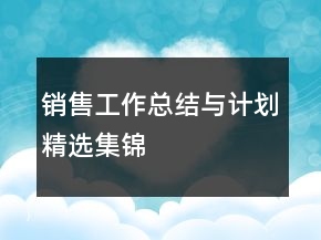 销售工作总结与计划精选集锦