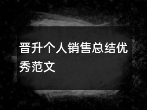 晋升个人销售总结优秀范文