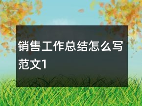 销售工作总结怎么写范文1