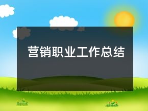 营销职业工作总结